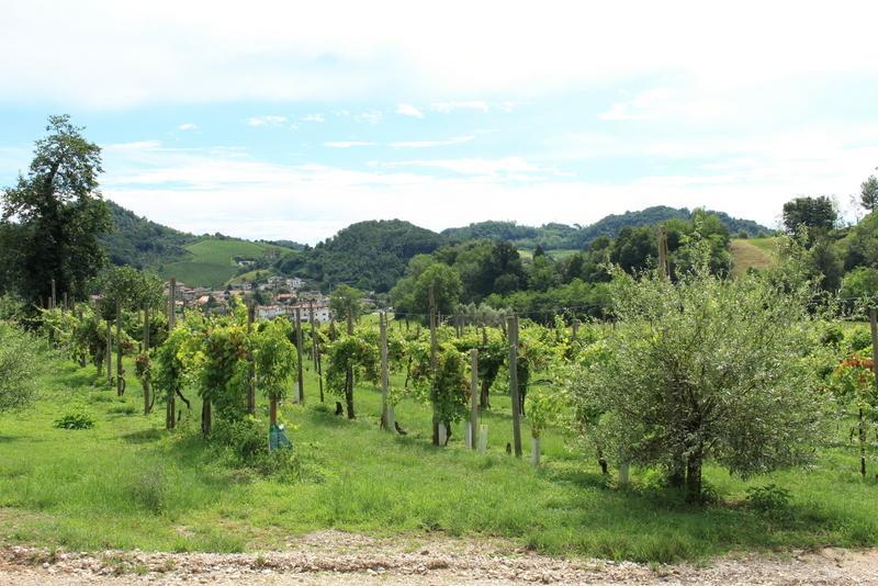 Agriturismo Mazzeracca 바사노델그라파 외부 사진